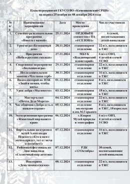 План мероприятий на период с 25 ноября по 08 декабря 2024 г.